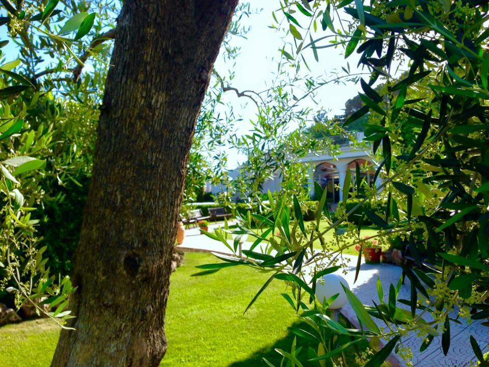 Hotel D'Altavilla Canosa di Puglia Εξωτερικό φωτογραφία